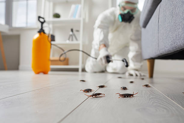 Commercial Rodent Management in Blythewood